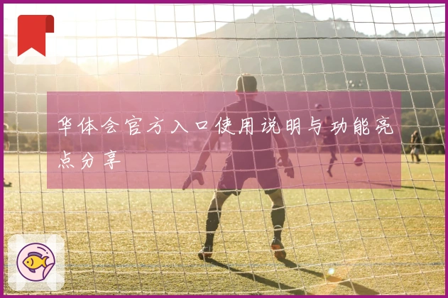 华体会官方入口使用说明与功能亮点分享